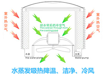 水蒸发吸热降温、洁净、冷风